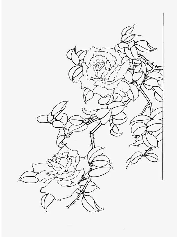 工笔画花卉免抠