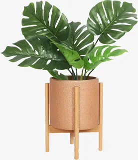 卡通手绘绿色的植物免抠 卡通手绘绿色的植物免抠