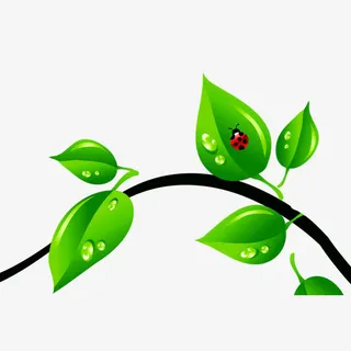 树枝树叶免抠漂浮叶子元素