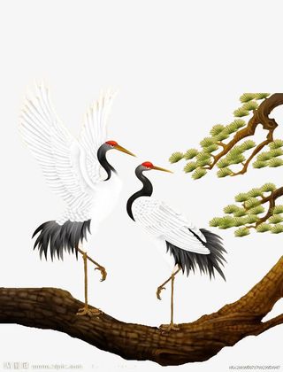 松树和仙鹤免抠
