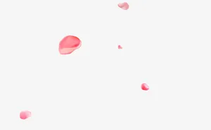 粉色花瓣免抠
