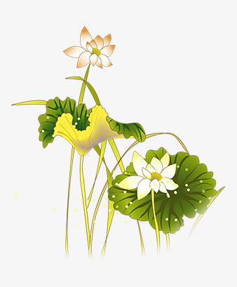 卡通花朵免抠