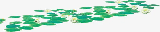 春天绿色荷叶花朵免抠
