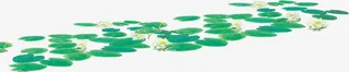 春天绿色荷叶花朵免抠