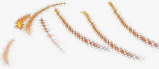 光特效 光源 炫光 光体免抠