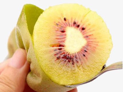 勺子挖出完整的红心猕猴桃肉免抠