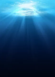 美丽的海底景色海洋背景高清 美丽的海底景色海洋背景高清