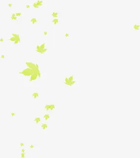 漂浮绿色树叶免抠