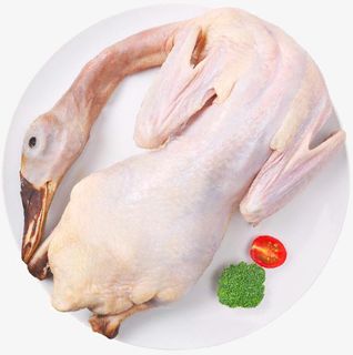 鸭子 白条鸭 老鸭 整鸭免抠