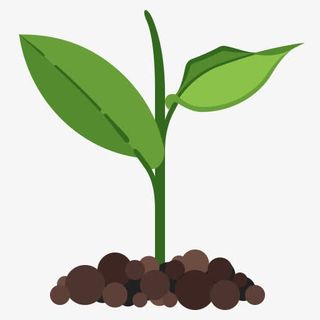 优势生态生态学友好的绿色自然植免抠