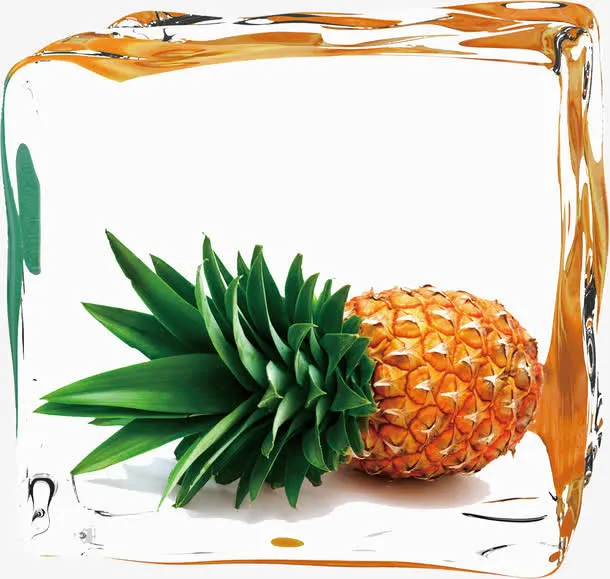 凤梨免抠