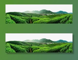 大片绿色茶田免抠其他元素