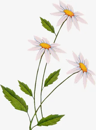 花草装饰素材免抠