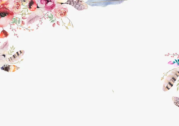花卉羽毛花纹免抠