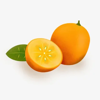 卡通手绘金桔免扣元素免抠