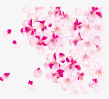 樱花背景底纹 樱花背景底纹