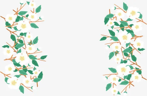 美丽的白色花朵边框免抠