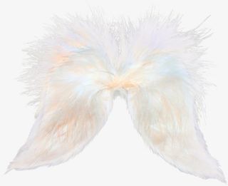 白色羽毛免抠