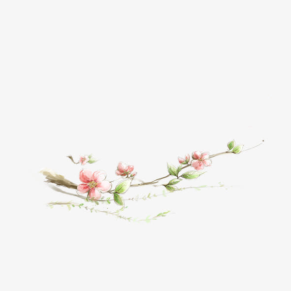 一枝独秀免抠