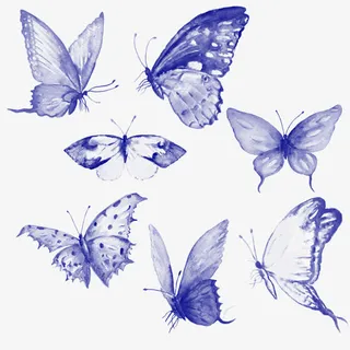 飞舞的蝴蝶免抠