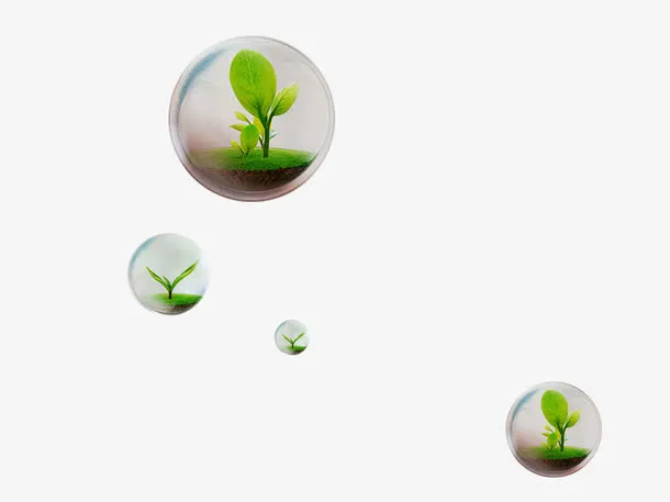 露珠里的植物免抠