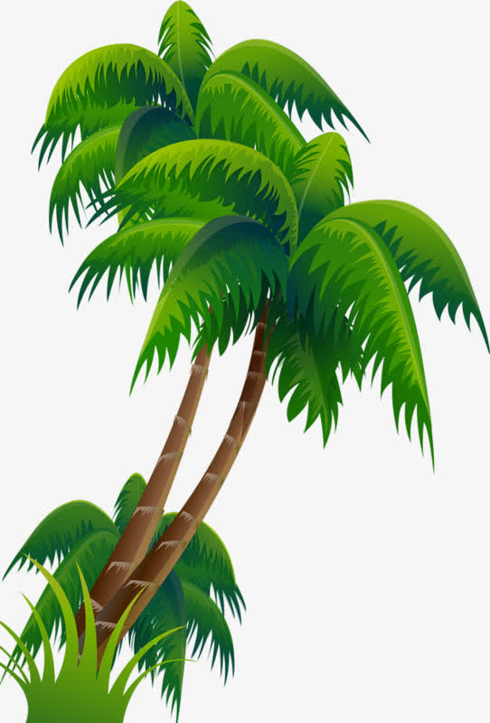 海南椰子树免抠