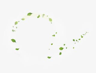 绿色树叶旋风漂浮素材免抠