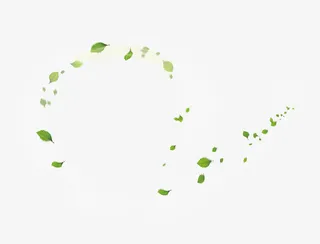 绿色树叶旋风漂浮素材免抠