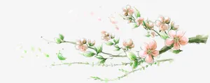 粉色淡雅梅花设计免抠