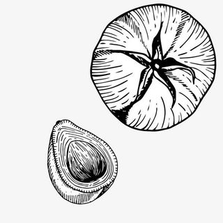 精致线描蔬菜免抠