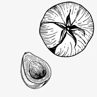 精致线描蔬菜免抠