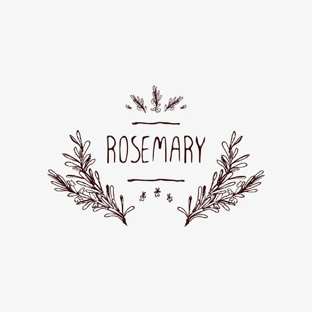 手绘复古迷迭香细枝图标免抠免抠
