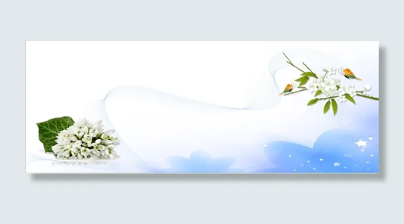 洁白花朵背景高清