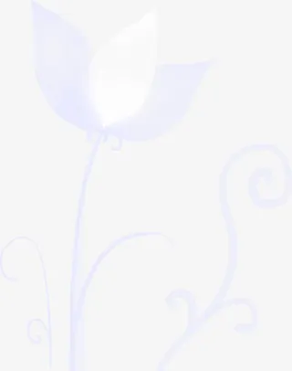 白色荷花花瓣海报背景七夕情人节