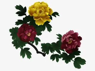 紫色黄色牡丹绿叶免抠