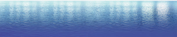 大海免抠