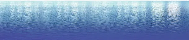 大海免抠