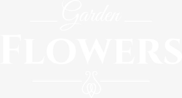 白色创意英文免抠