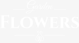 白色创意英文免抠