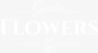 白色创意英文免抠