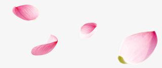 漂浮粉色花瓣免抠