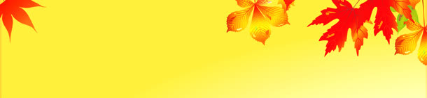 秋天背景banner壁纸