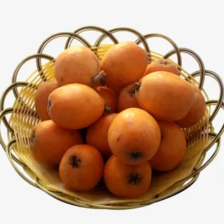 一盘枇杷免费下载免抠