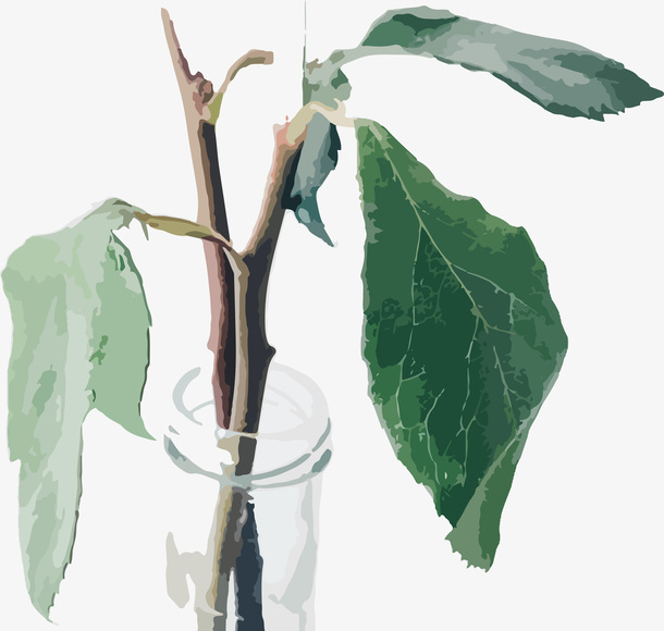 春天绿色插在瓶子里的花叶子免抠