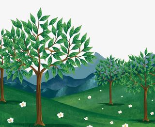 深绿色树木森林背景