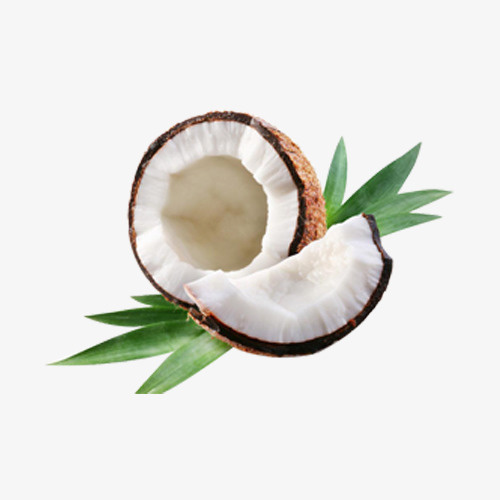 椰子，夏季，水果，果肉免抠