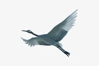 黑色水墨仙鹤图案免抠