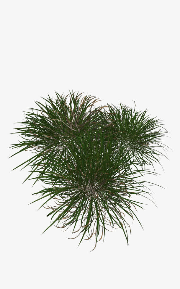 沙漠草丛免抠