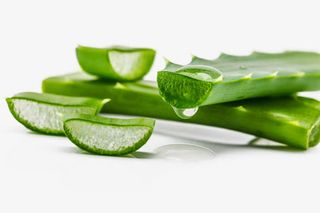 美容补水植物芦荟免抠