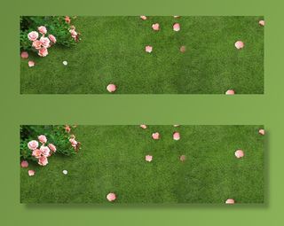 清爽绿色草地淘宝海报背景免抠